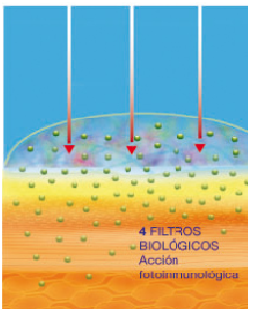 La imagen tiene un atributo ALT vacÃÂÃÂ­o; su nombre de archivo es filtros-biologicos.png